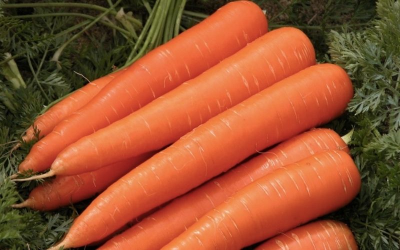Cà rốt